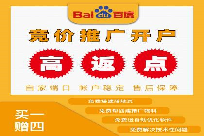 某行业SEM竞价策略的运营实践与效果